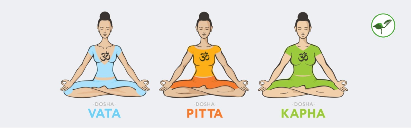 Tridoshas - Vata, Pitta, Kapha Explanation by Haritha