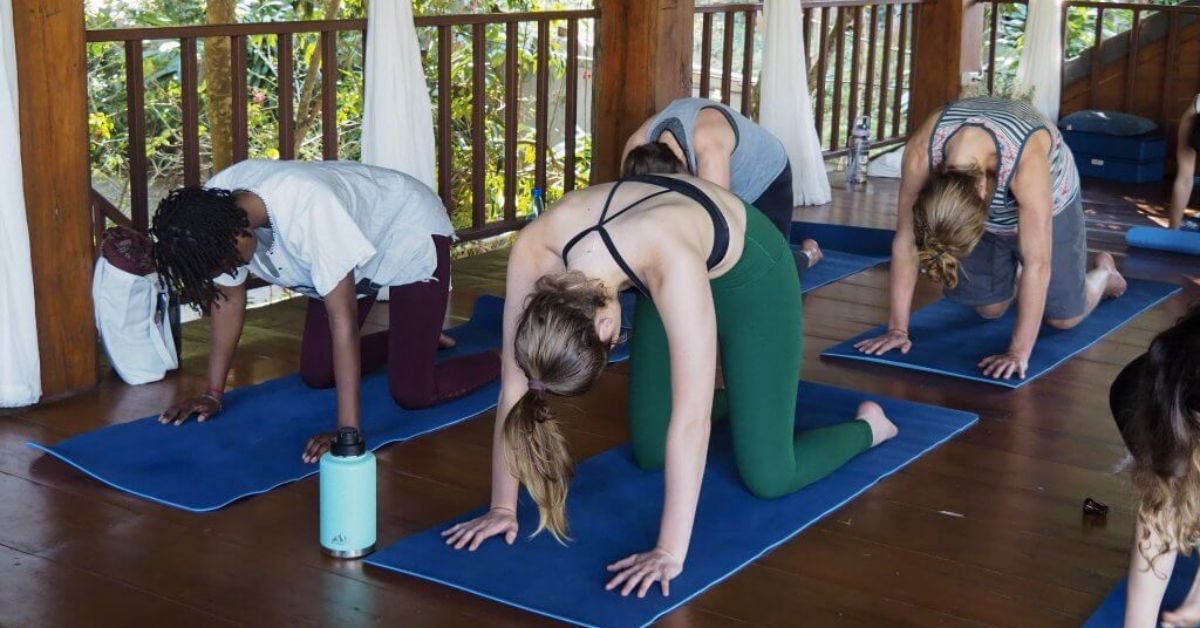 How To Perform Cat Cow Pose Yoga