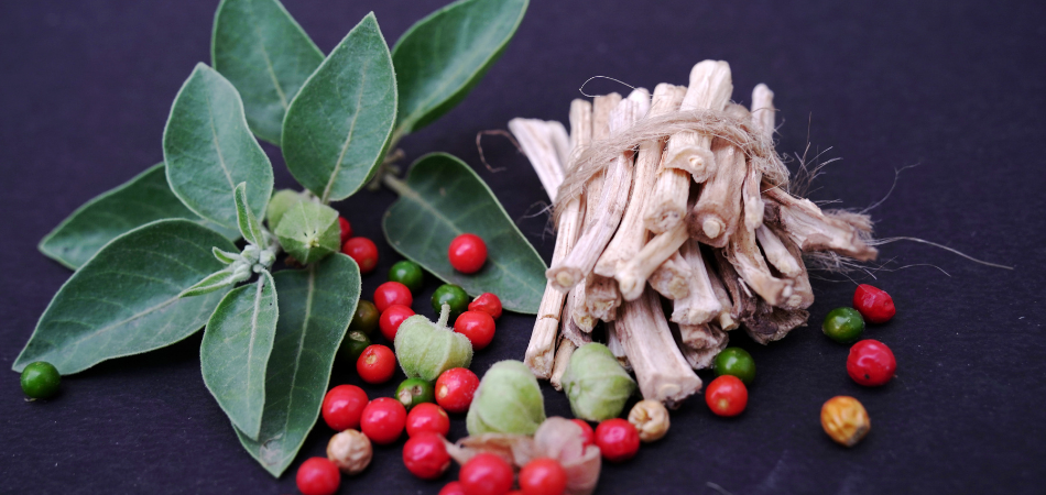 Best Ayurvedic BP treatment