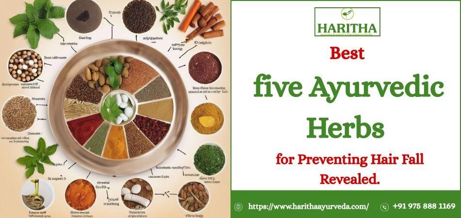 Best five Ayurvedic Herbs