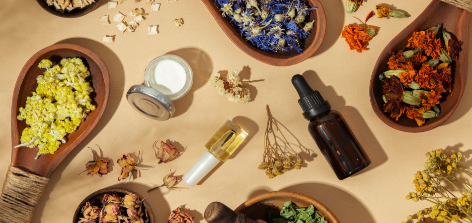 Best five Ayurvedic Herbs