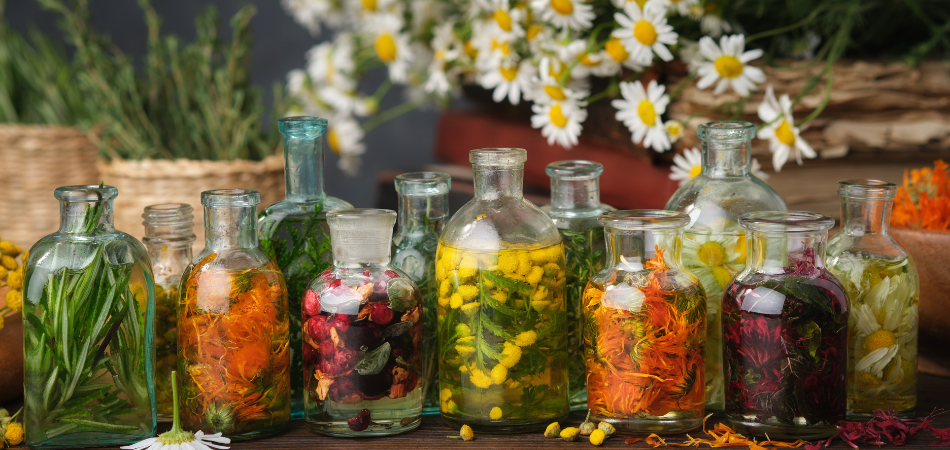 Naturopathy Vs Ayurveda: Which is Right for You?